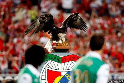 Benfica – Feyenoord