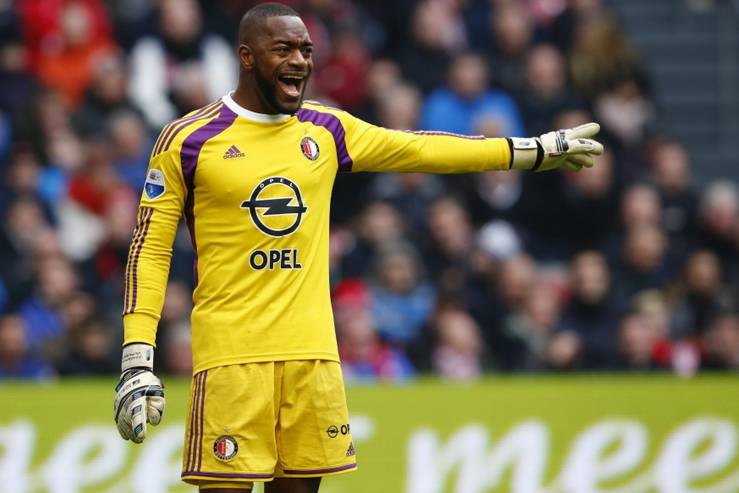 Kenneth Vermeer